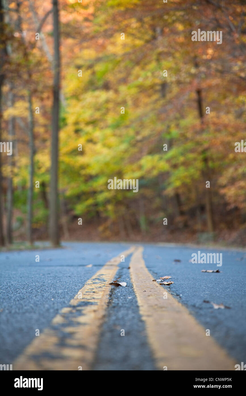 Rock Creek Park Washington Dc Stock Photos & Rock Creek Park Washington ...