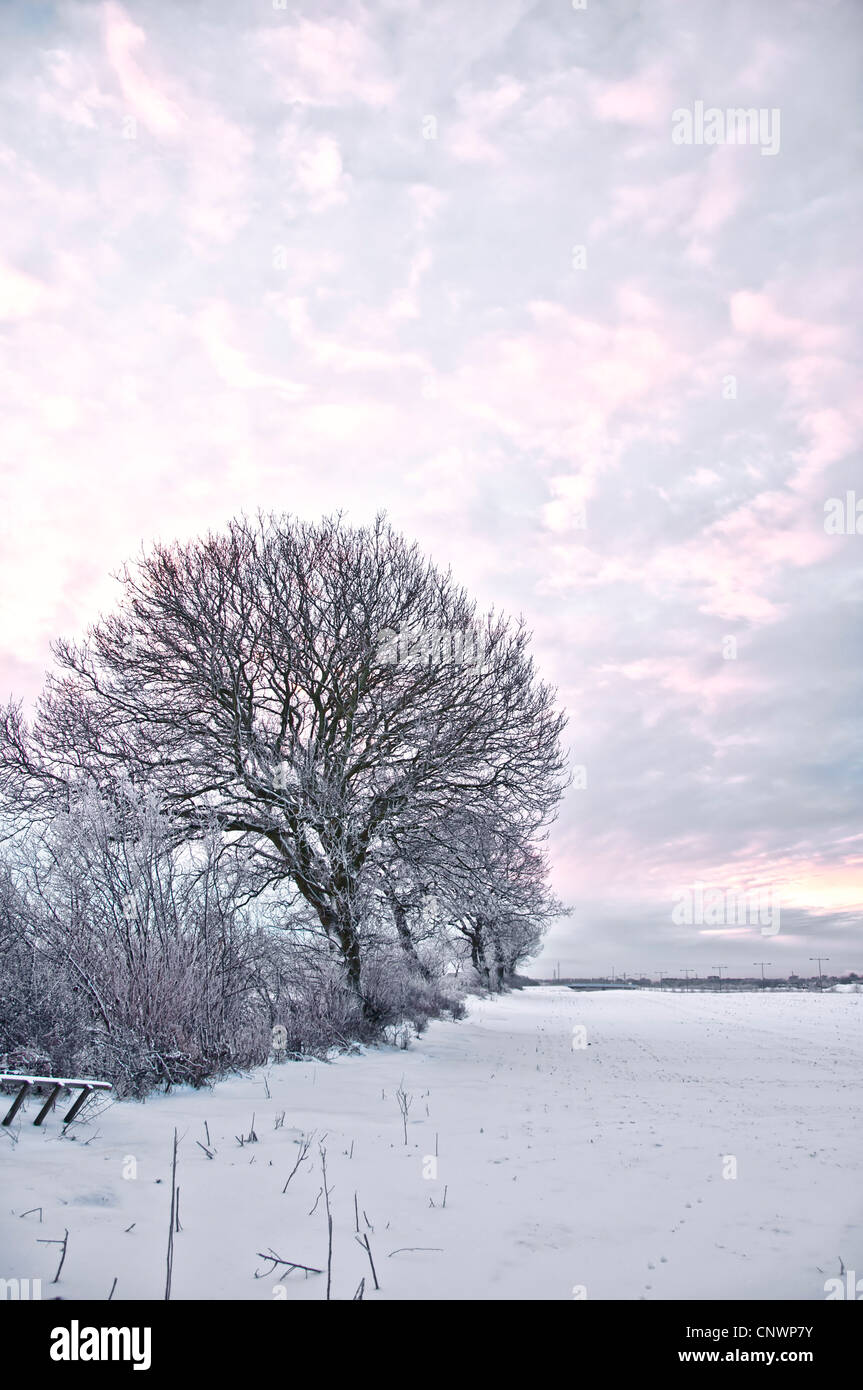 Freshly fallen snow lies on the ground in the countryside creating a winter wonderland. Stock Photo