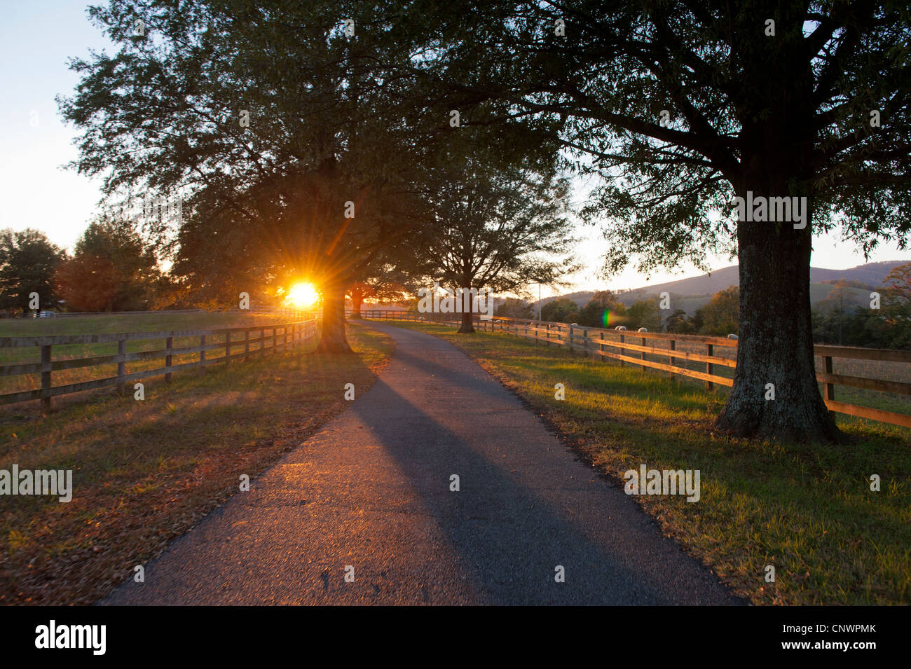 Driveway with fencing around pastures for livestock on a farm in autumn with seasonal color changes and sunset through the trees Stock Photo