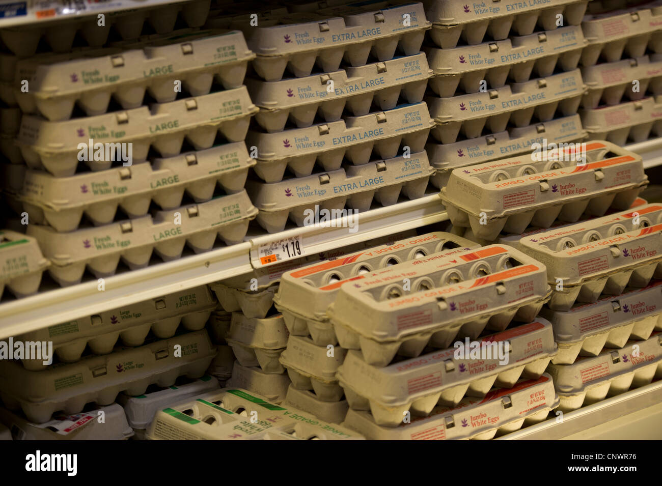 Cartons of eggs in refrigerated isle in the grocery store Stock Photo