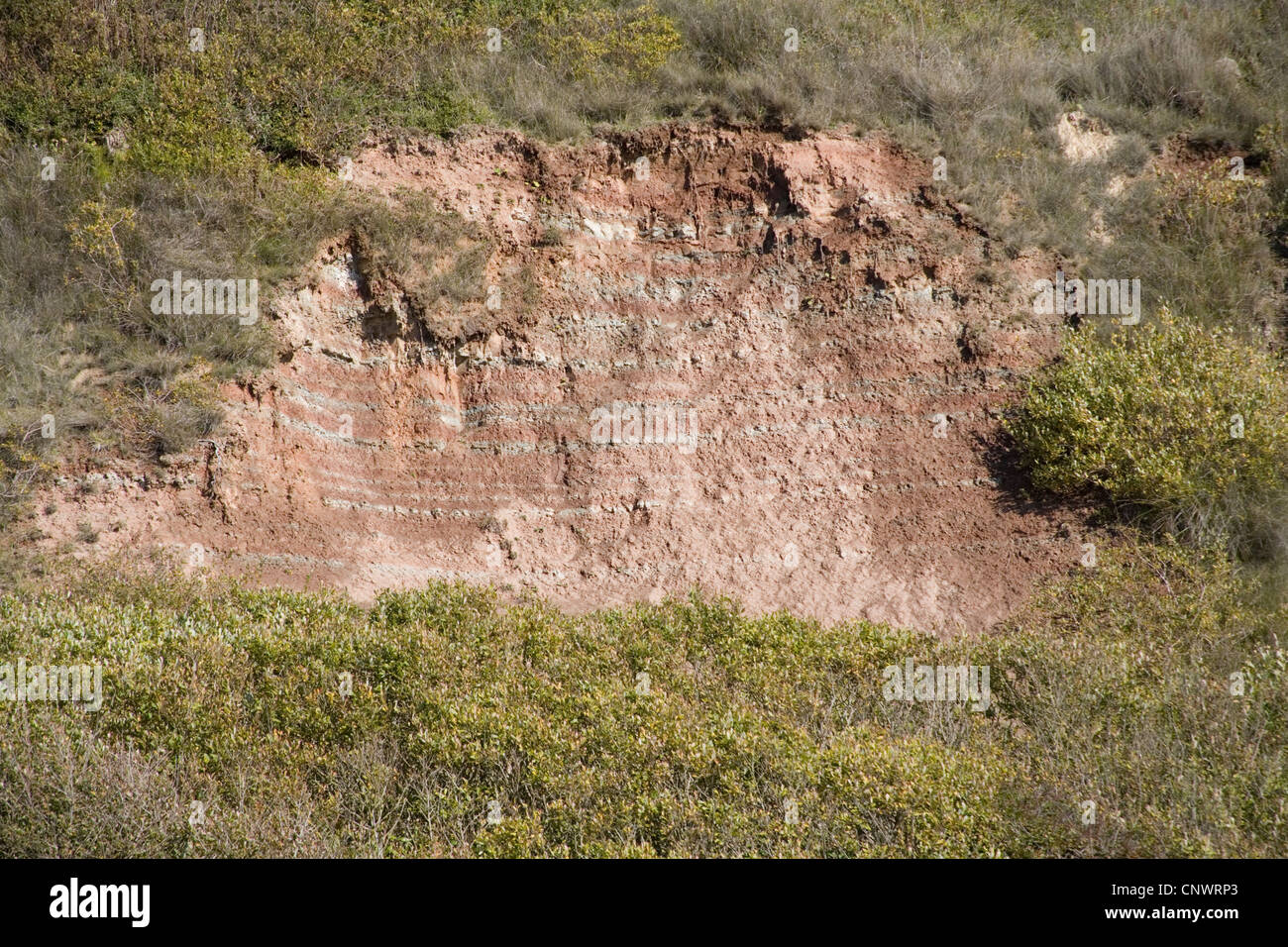 Environmental coastal erosion hi-res stock photography and images - Alamy