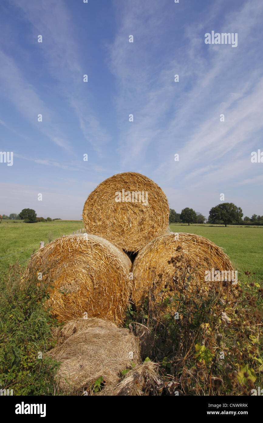hay bales, Germany Stock Photo