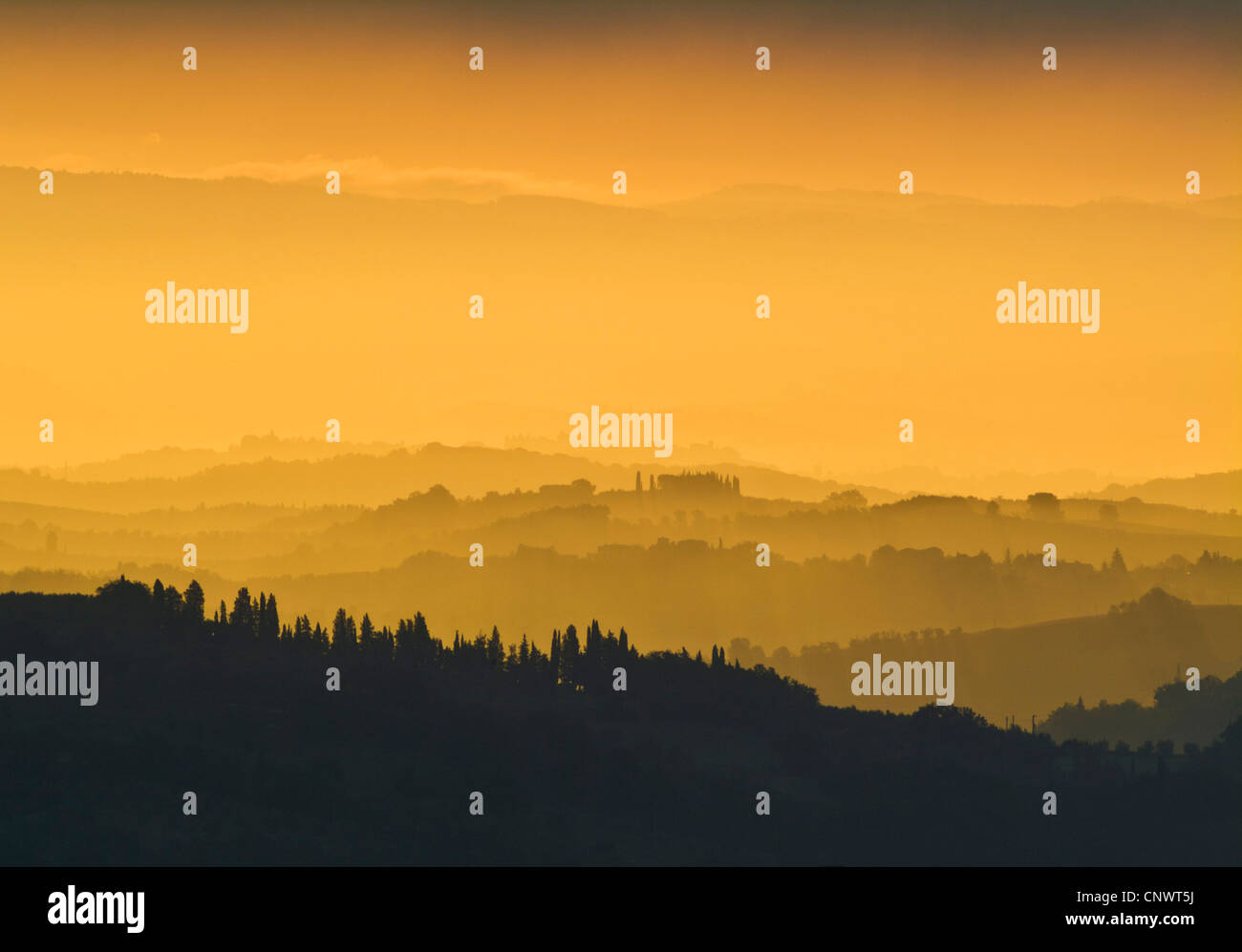 San Gimingano dawn Misty morning cypress trees on a hilltop near San Gimingano Tuscany Italy EU Europe Stock Photo