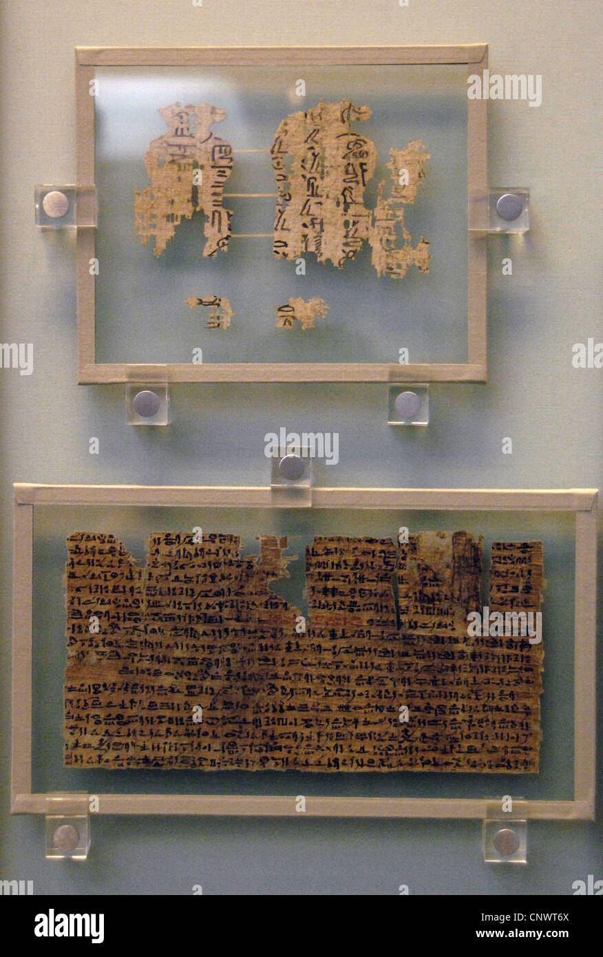 Egyptian writing on papyrus. Stock Photo