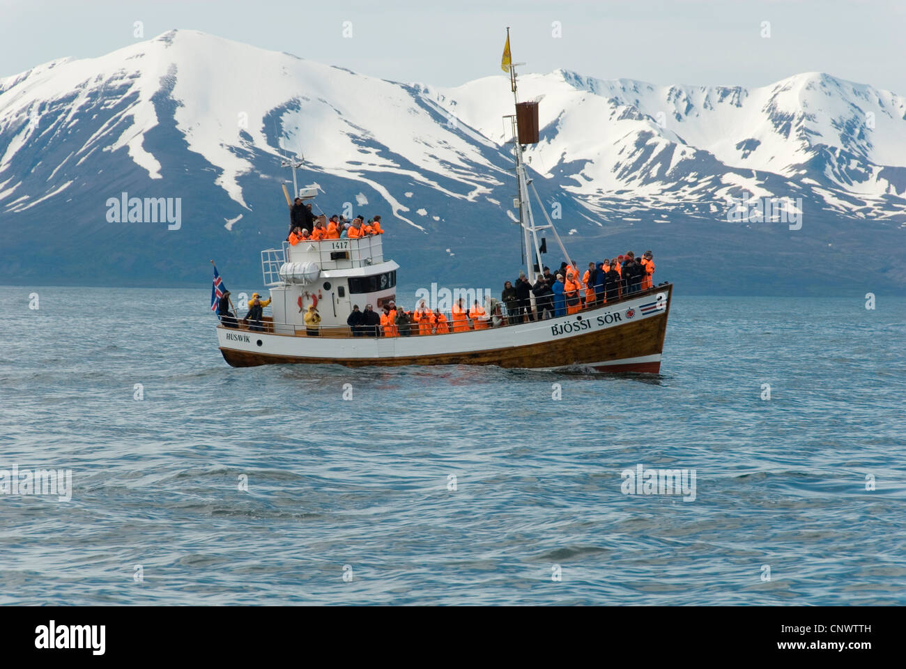 tourists on a whale watching boat, Iceland, Husavik Stock Photo - Alamy