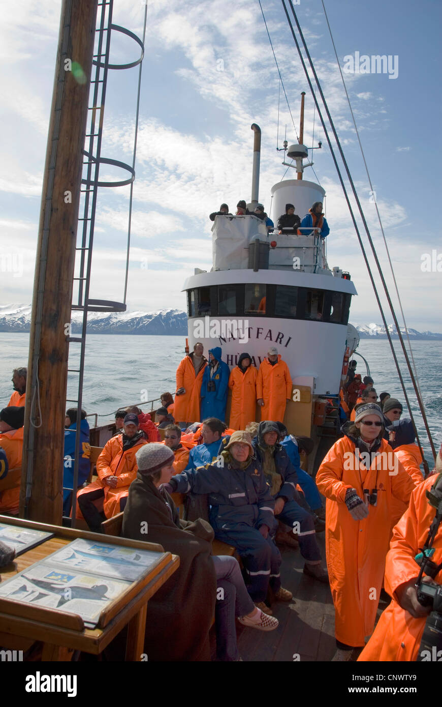 tourists on a whale watching boat, Iceland, Husavik Stock Photo - Alamy
