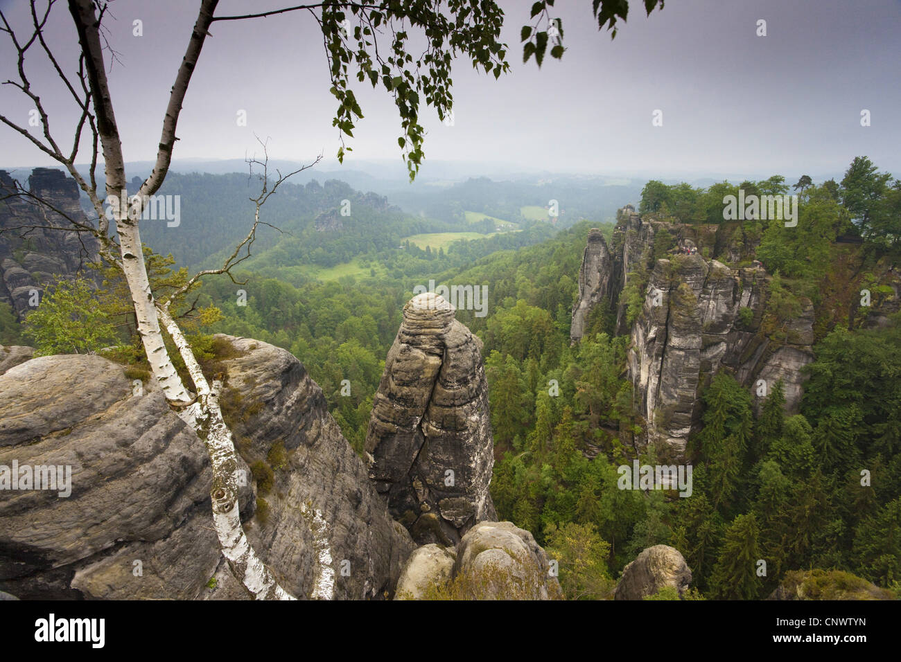 Bastei, Germany, Saxony, Saechsische Schweiz Nationalpark Stock Photo