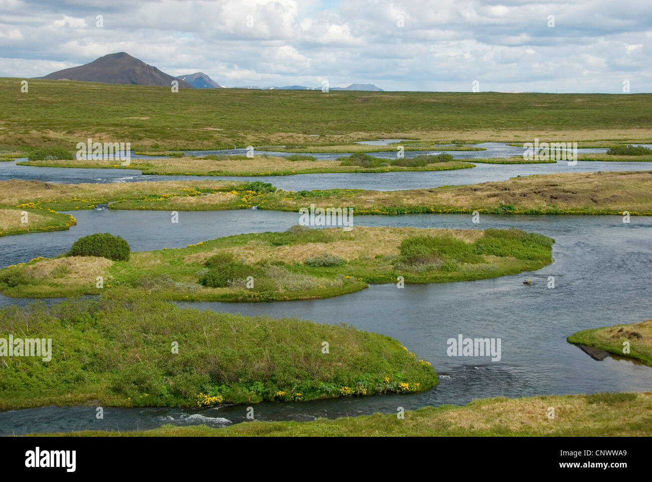 view over the river Laxa with its many little islands close to the M�vatn (lake of midges), Iceland, Myvatn Stock Photo
