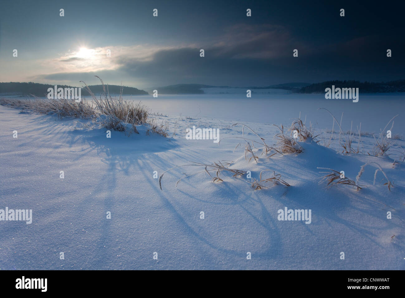 winter landscape in morning light, Germany, Saxony, Vogtlaendische Schweiz Stock Photo