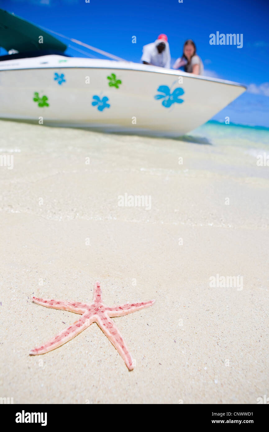 Starfish on white sand tropical beach, Mauritius Stock Photo