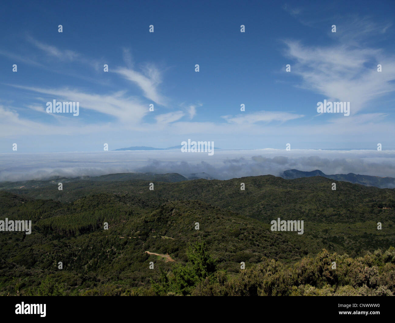 view from Alto de Garajonay of laurel forest and La Palma, Canary Islands, Gomera, Garajonay National Park Stock Photo