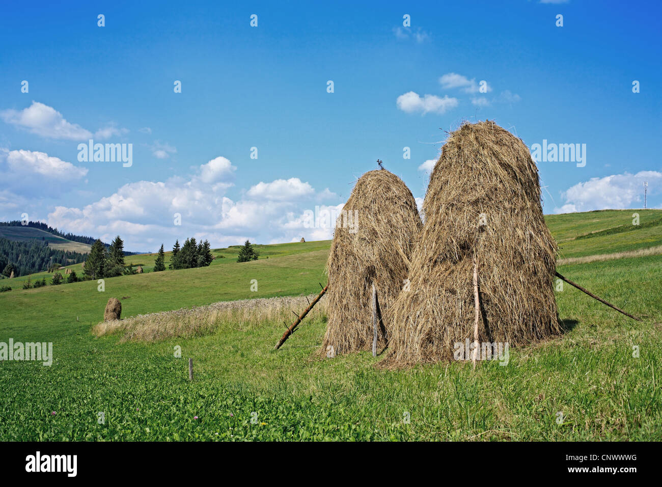 Hay bales in carpathians ukraine hi-res stock photography and images - Alamy