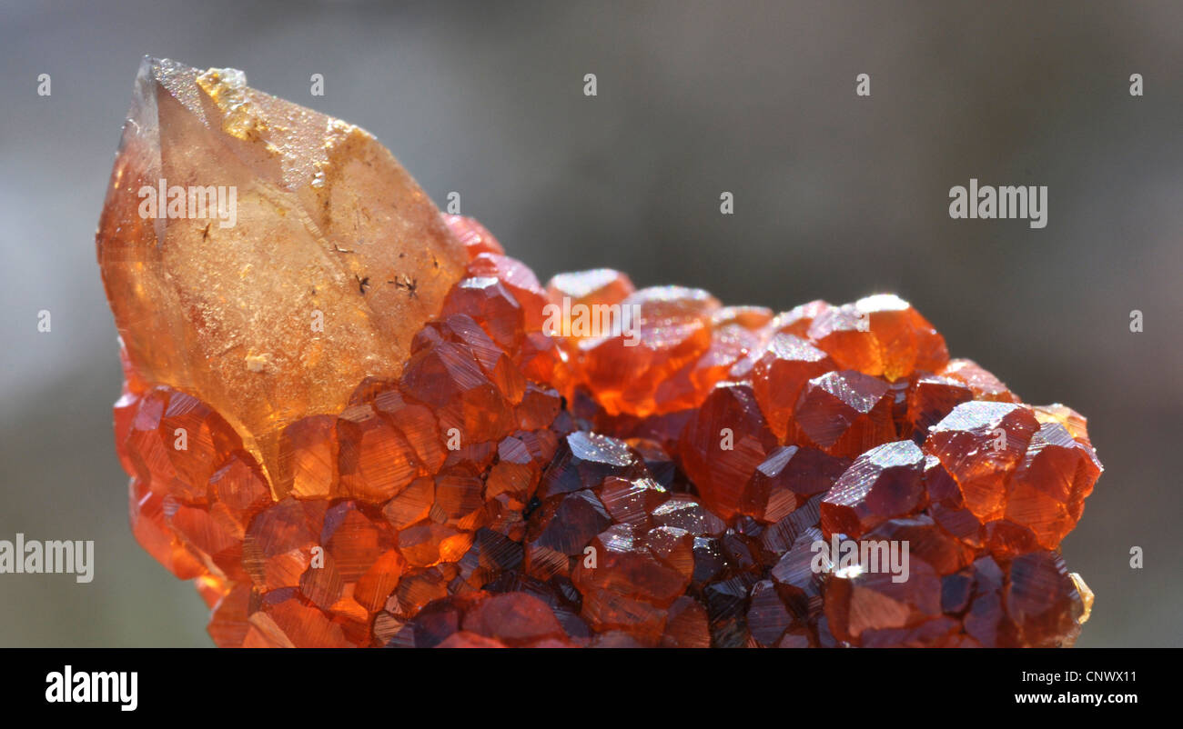 smokey quartz with spessartite crystals Stock Photo