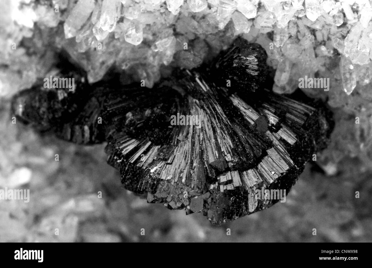 epidote crsytals on rock crystal Stock Photo