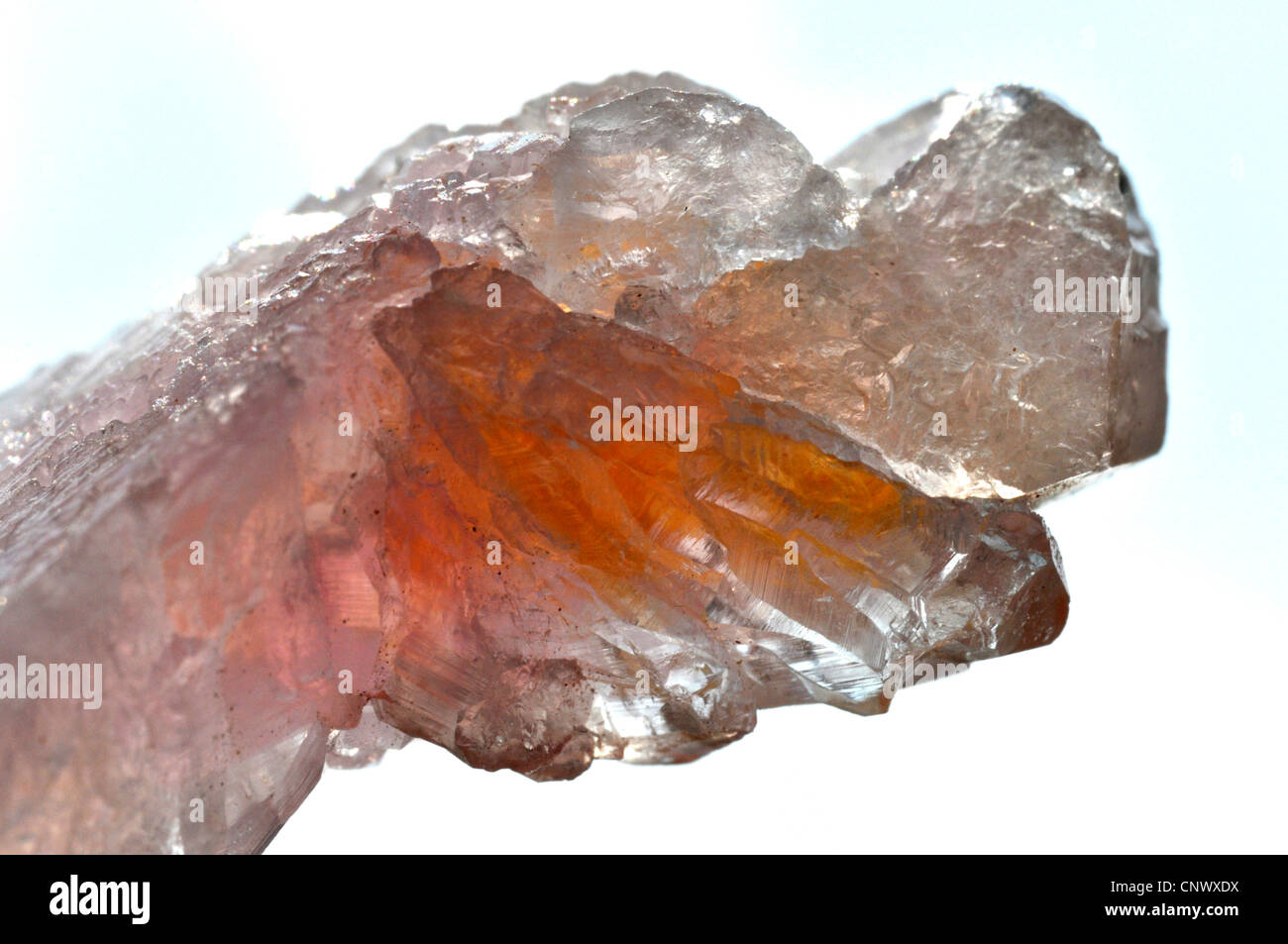 rose quartz Stock Photo