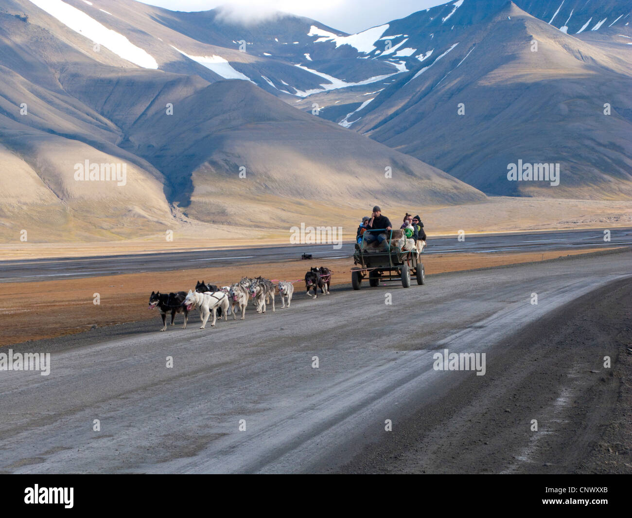 team of dogs pulling a wagon with tourists on a lonely road, Norway, Svalbard, Longyearbyen Stock Photo