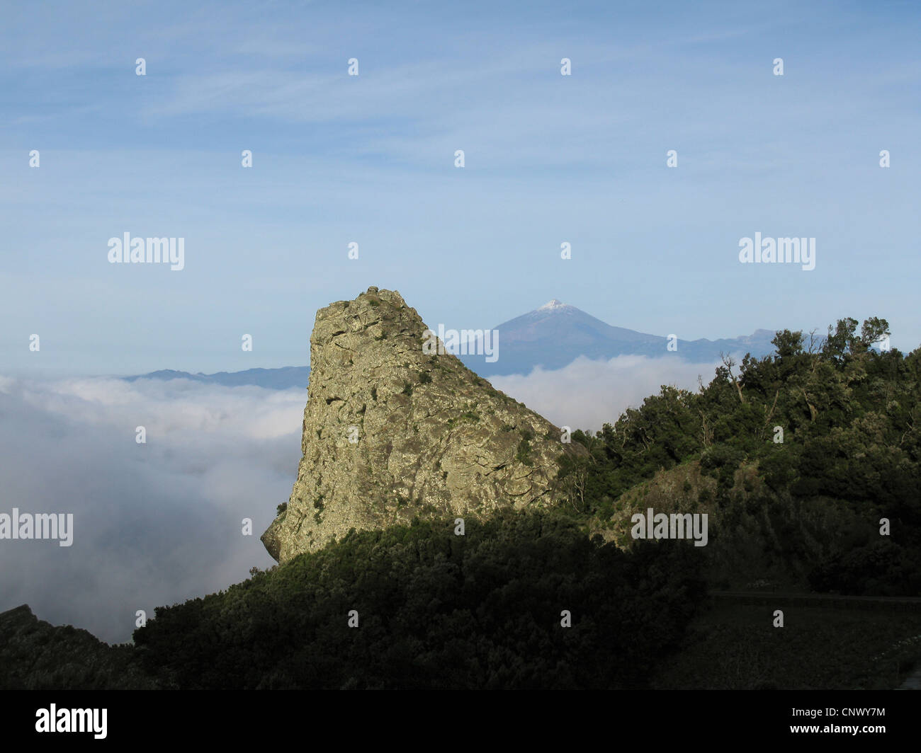 natural monuments Los Roques: Roque La Zarcita, snowcovered summit of Teide on Tenerife in the background , Canary Islands, Gomera, Garajonay National Park Stock Photo