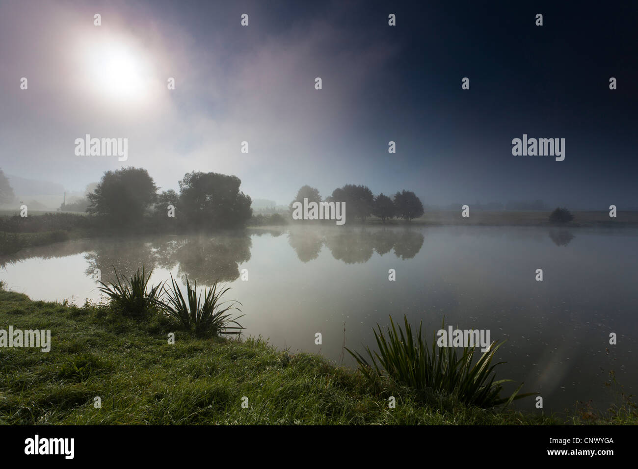 lake Poehl in morning mist, Germany, Saxony, Vogtland, Talsperre Poehl Stock Photo
