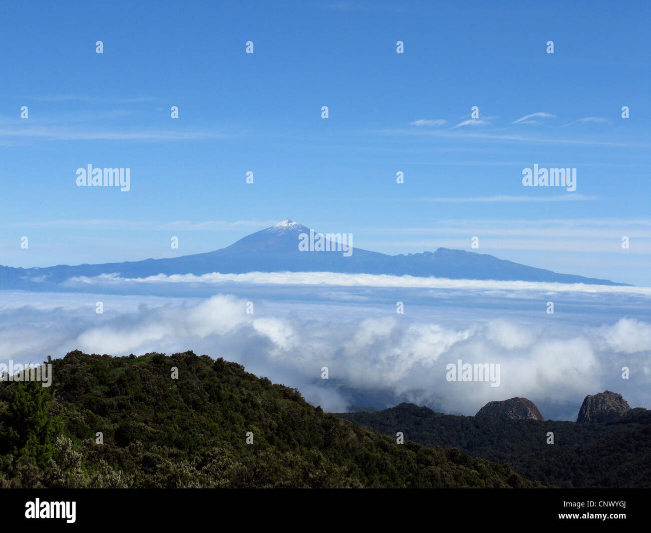 view of Tenerife with Teide from Alto de Garajonay, highest mountain of Gomera, Los Roques in foreground, Canary Islands, Gomera, Garajonay National Park Stock Photo