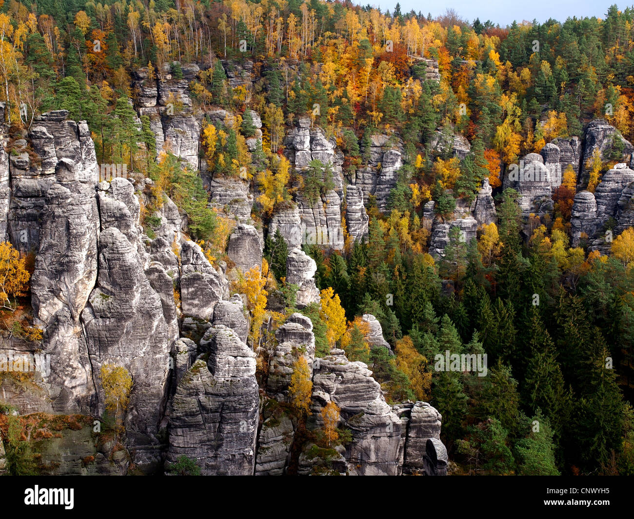 view from the Bastei to rock formations of Elbe Sandstone Mountains in autumn, Germany, Saxony, Saxon Switzerland National Park Stock Photo