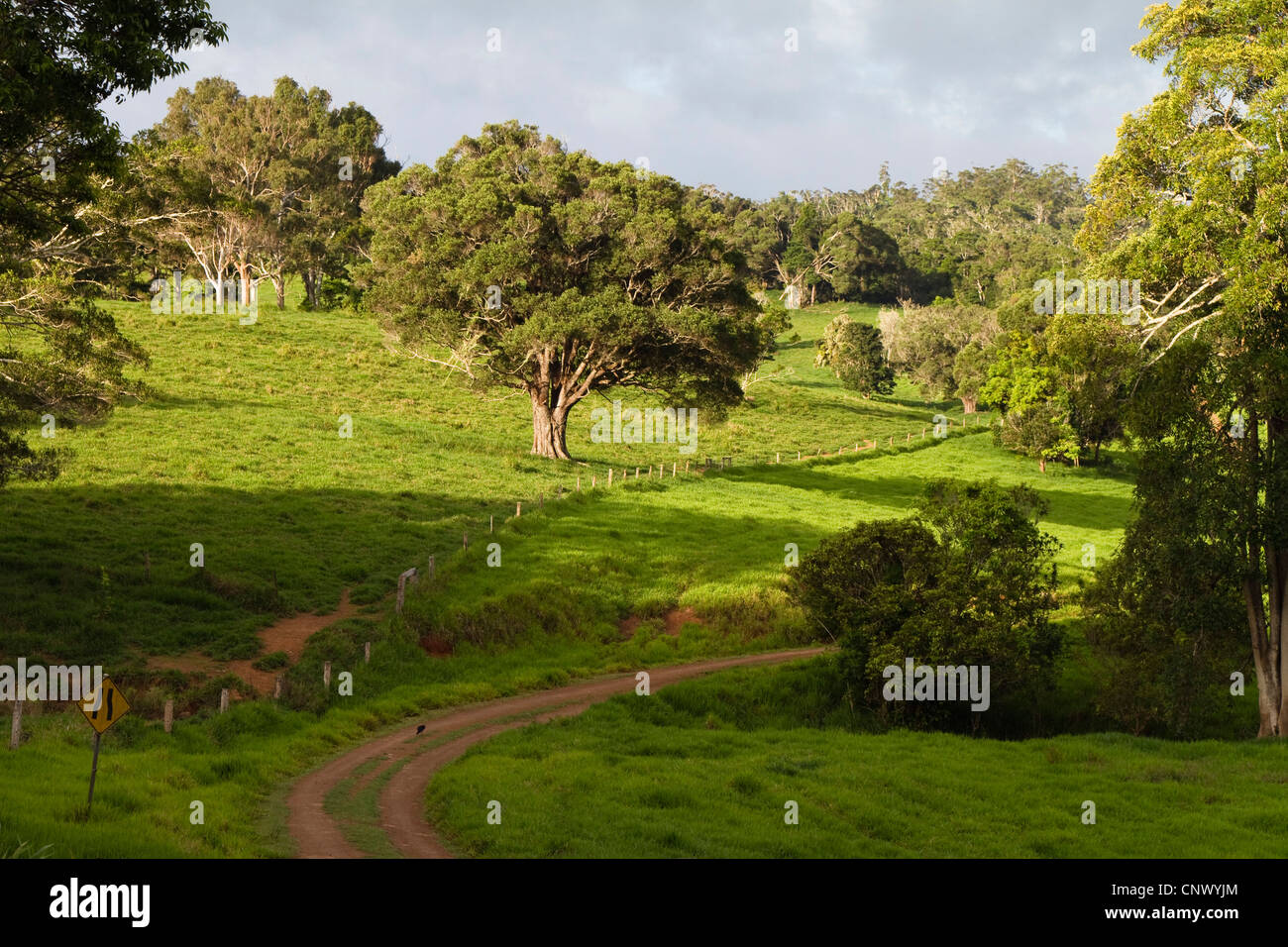 Countryside of Atherton Tablelands, Australia, Queensland Stock Photo
