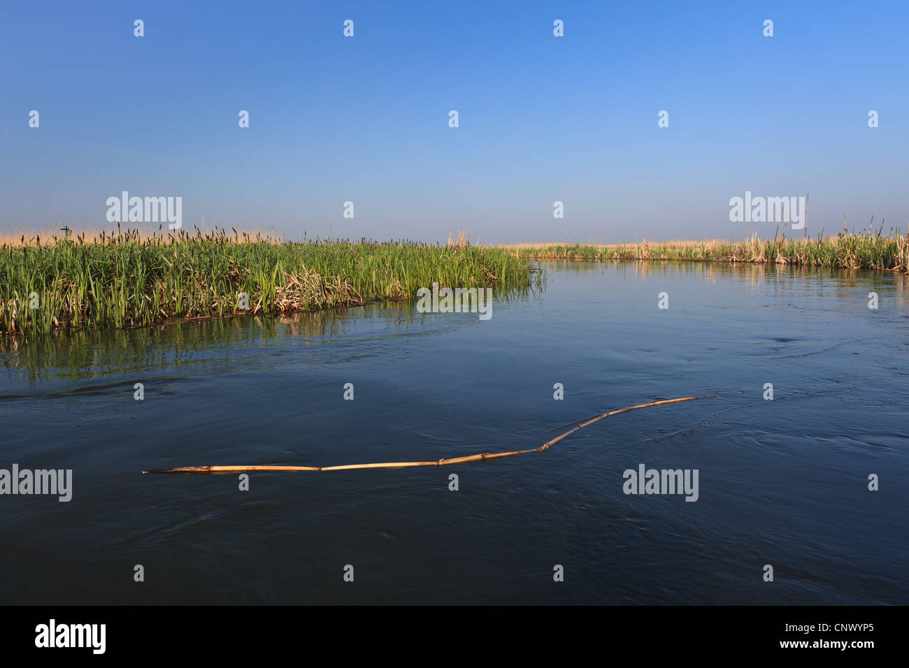 Beautiful green nature landscape river hi-res stock photography and ...