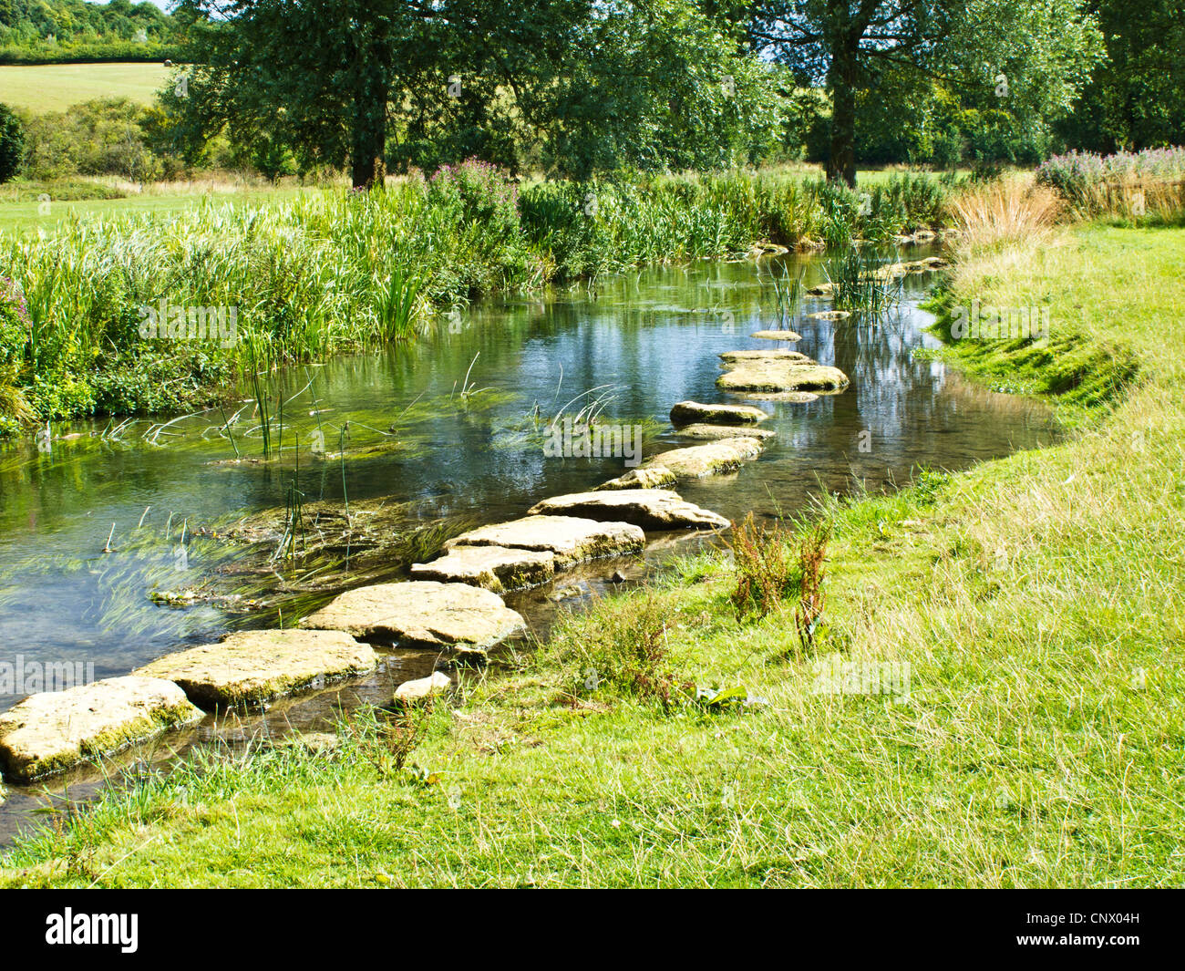The River Coln near Coln St Aldwyns in the Cotswolds, Gloucestershire, England, UK Stock Photo