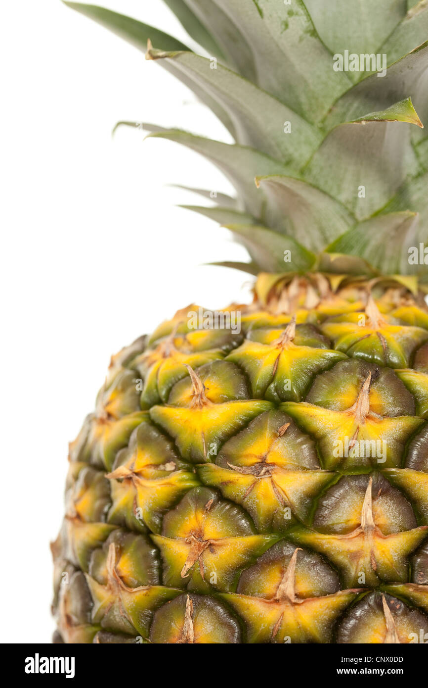 extract whole pineapple with leaf on white Stock Photo Alamy
