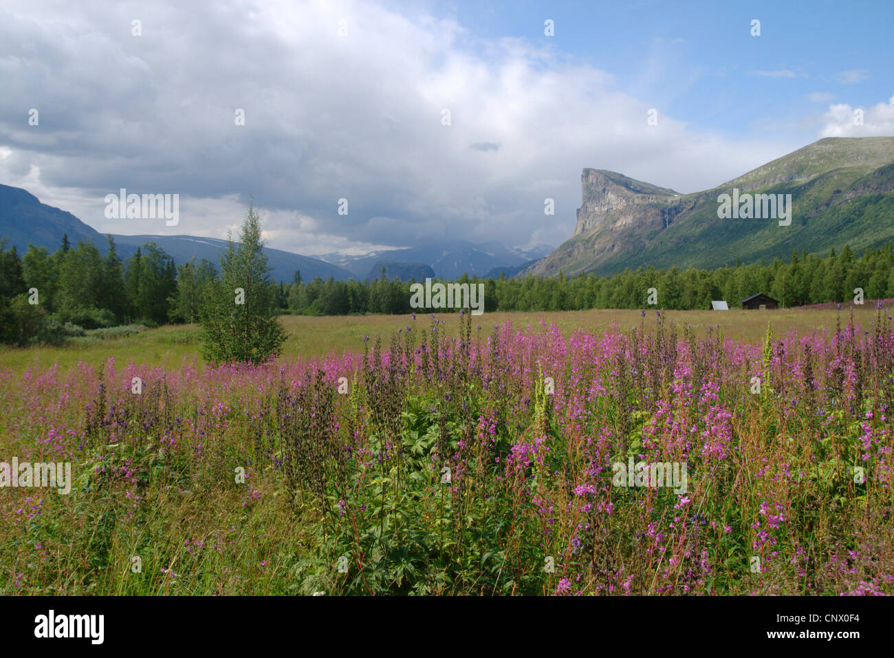 view from Aktse to Skierffe Mountain, hiking trail Kungsleden, Sweden, Lapland Stock Photo
