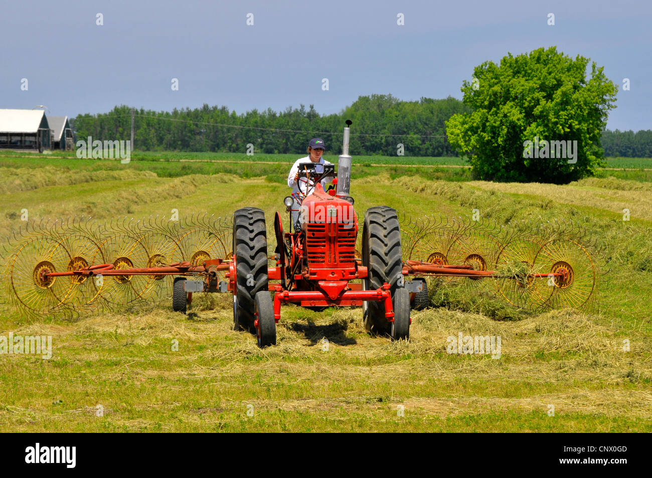 Tractor working farm field raking hay near Croswell Michigan Stock Photo Alamy
