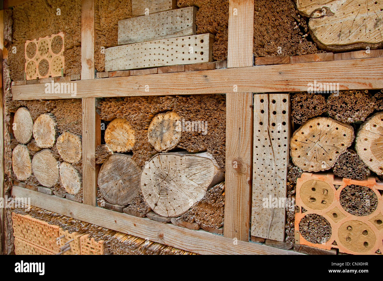 insect hotel, Germany Stock Photo
