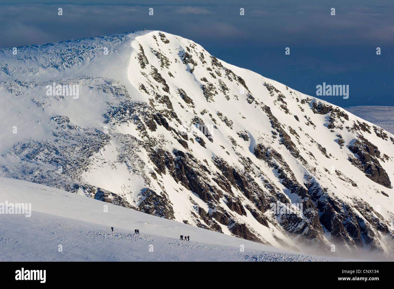 Group of hillwalkers crossing the Cairngorm plateau in winter Stock Photo