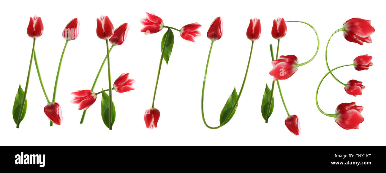 Title nature hi-res stock photography and images - Alamy