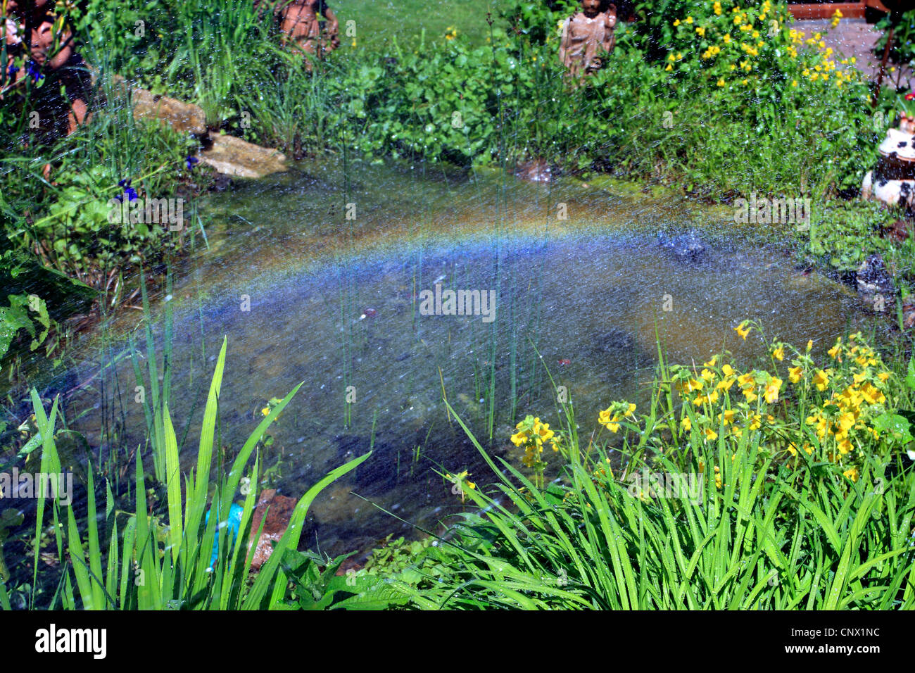 rainbow over a garden pond Stock Photo: 47900648 - Alamy