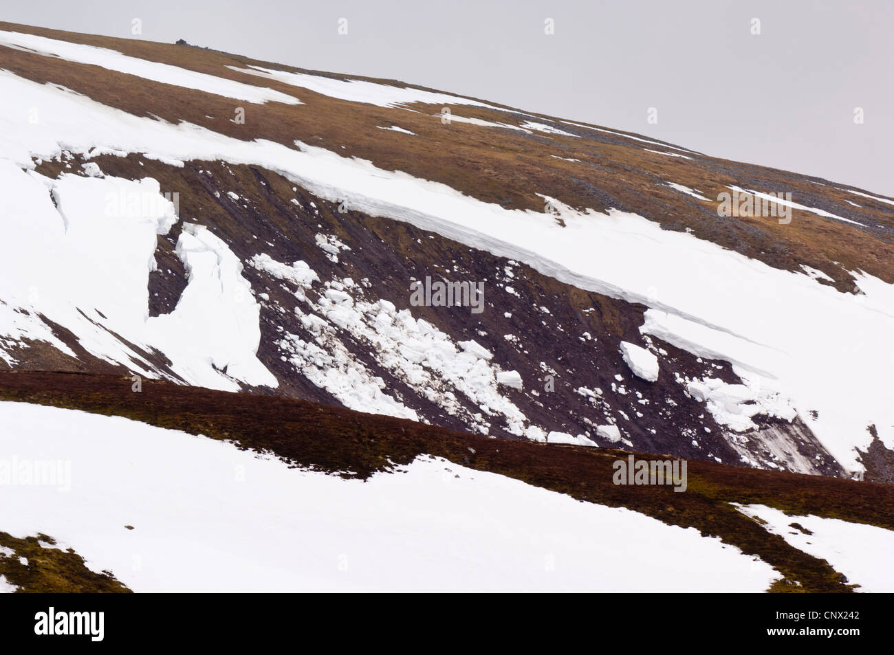 A full depth slab avalanche set off by thawing - on Glas Maol (1068 metres). Stock Photo