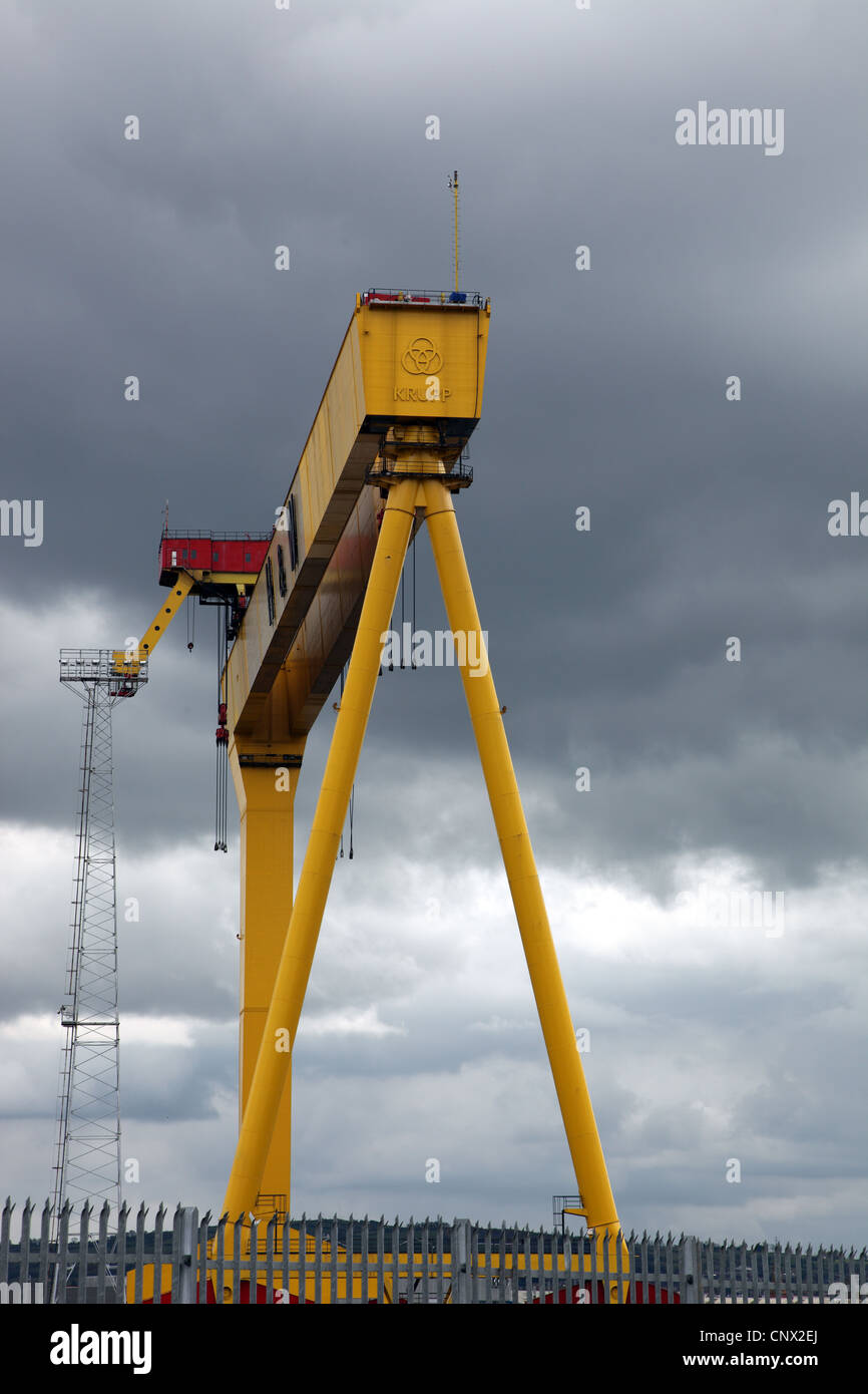 one of two Harland and Wolff landmark Belfast gantry cranes, nicknamed Samson & Goliath Stock Photo