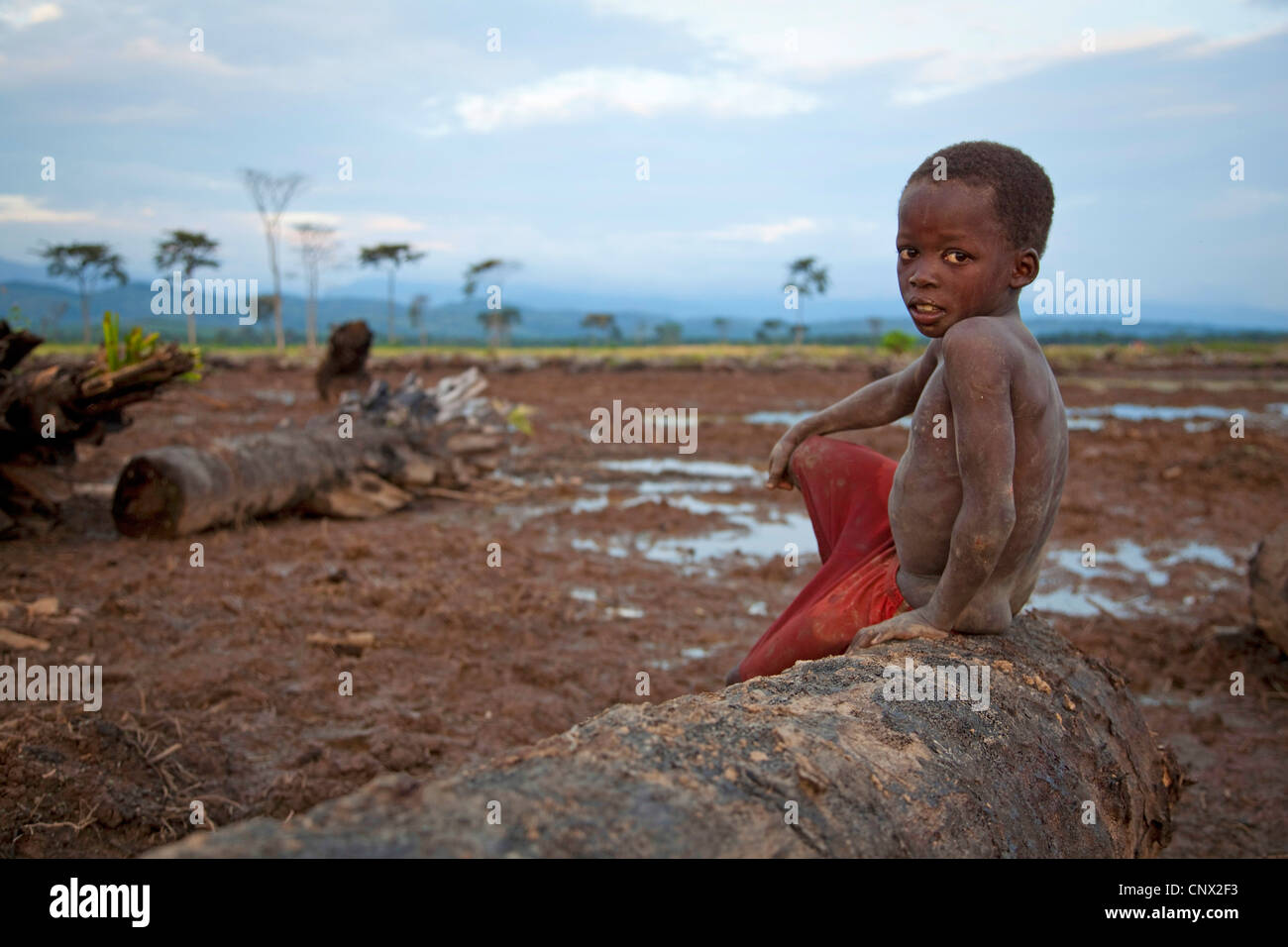 oil palm (Elaeis guineensis), little boy sitting on the log of an oil palm on fallow land deforested for oil production, Burundi, Rumonge, Rumonge Stock Photo