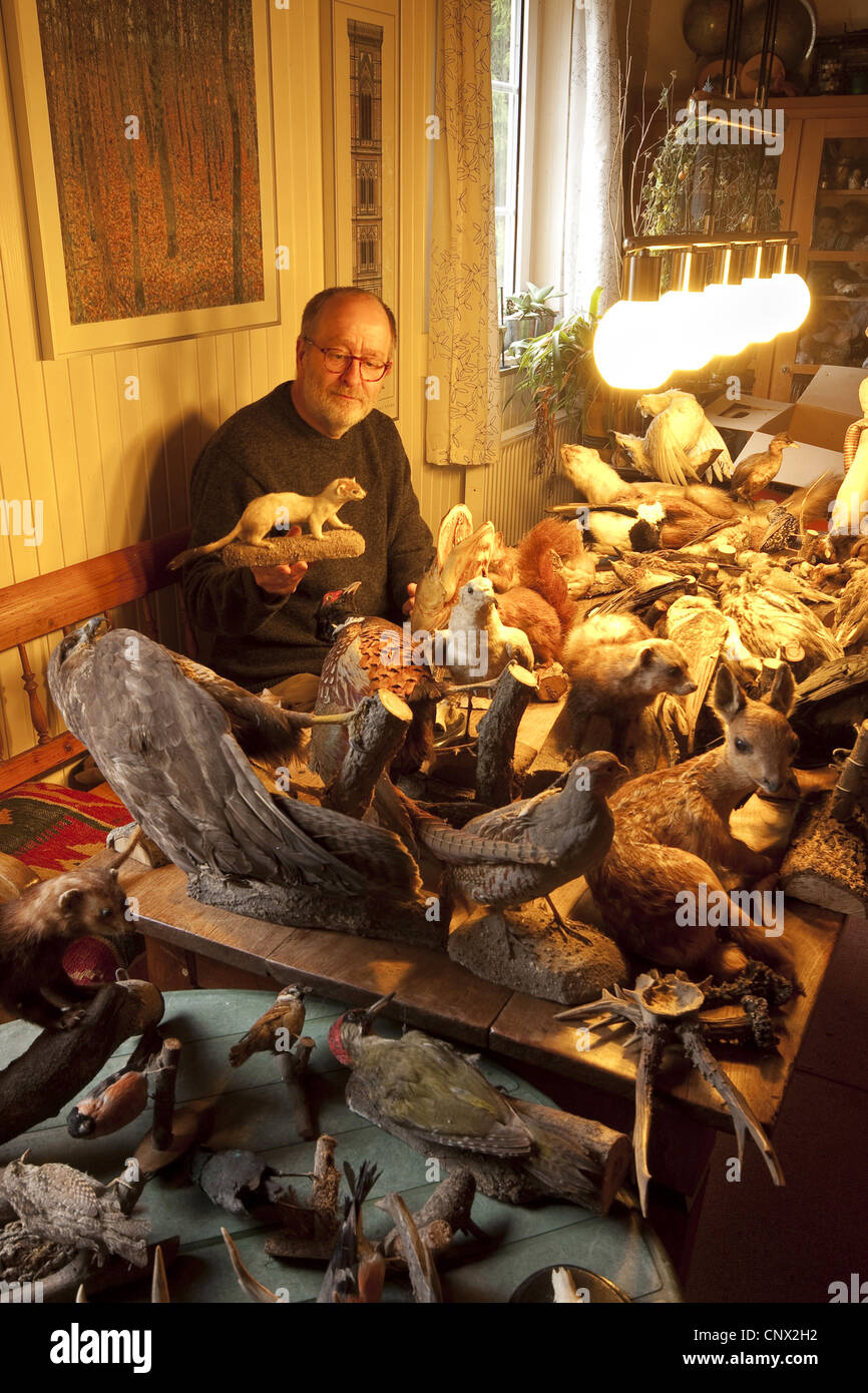 older man sitting in a room with tables full of stuffed animals and hunting trophies Stock Photo