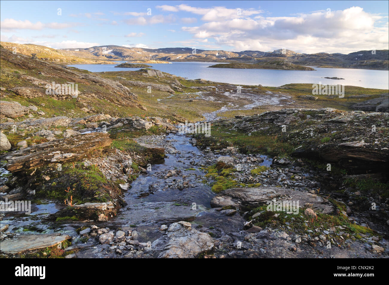Hardangervidda in summer time, colored river (Norway) Stock Photo