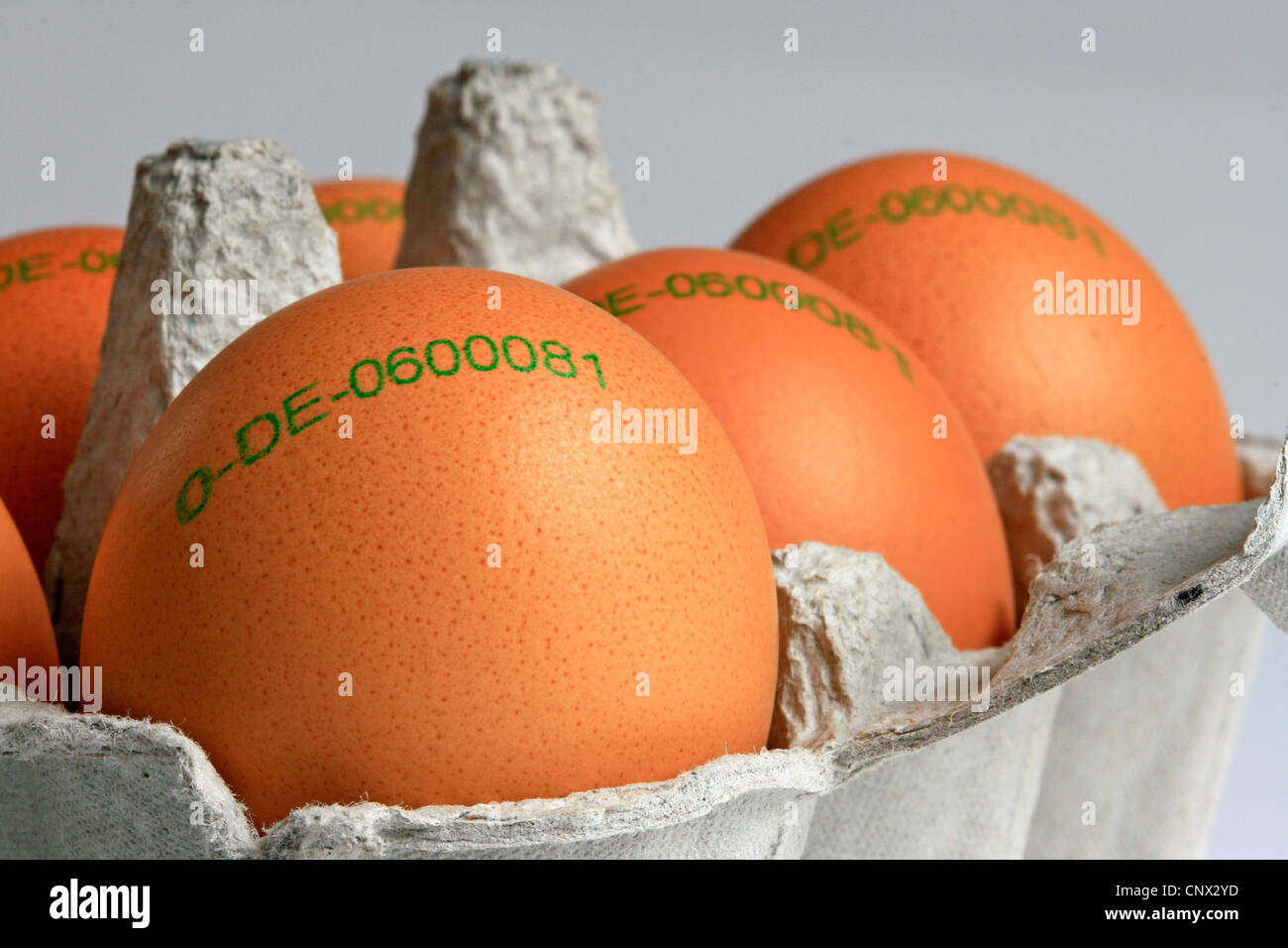 Labeled egg hi-res stock photography and images - Alamy