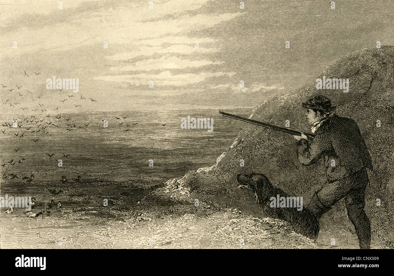 Circa 1870 engraving, Wild Duck Shooting. Stock Photo
