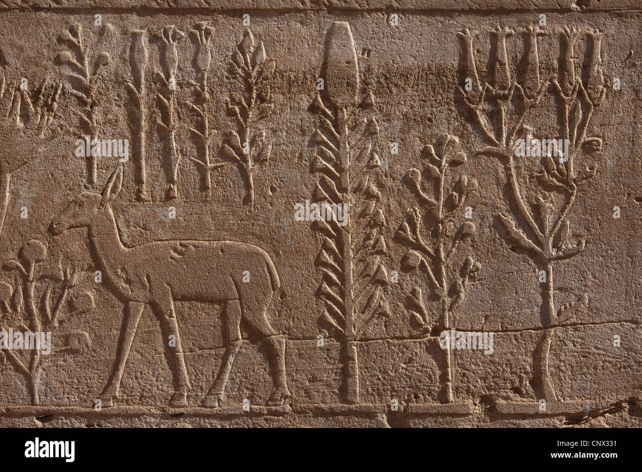 Ancient Egyptian Botanical Garden. Relief in the Karnak Temple Complex in Luxor, Egypt. Stock Photo