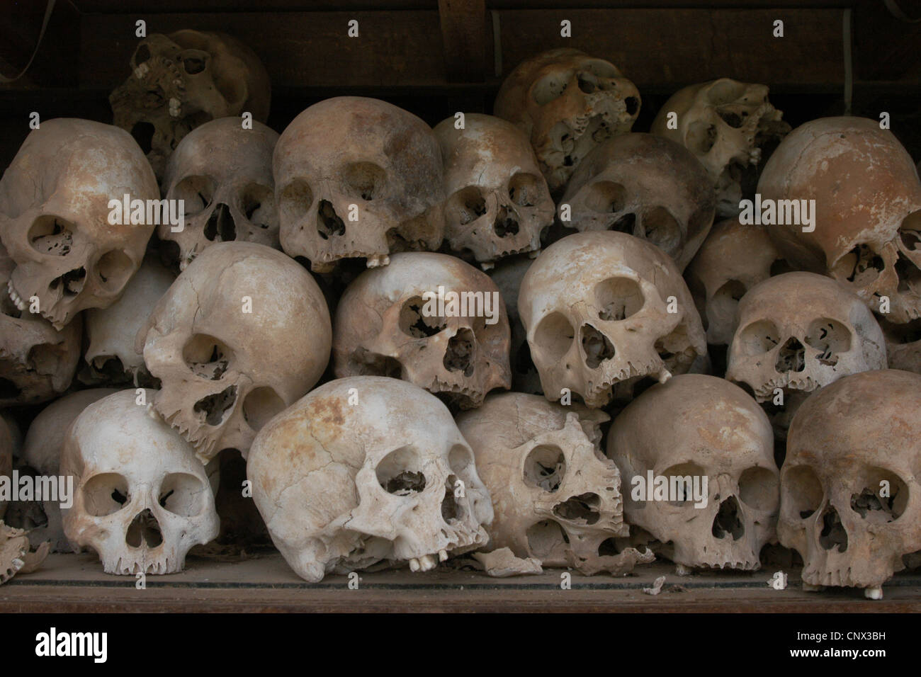 Human skulls of Khmer Rouge regime's victims at the Killing Fields in Choeung Ek near Phnom Penh, Cambodia. Stock Photo