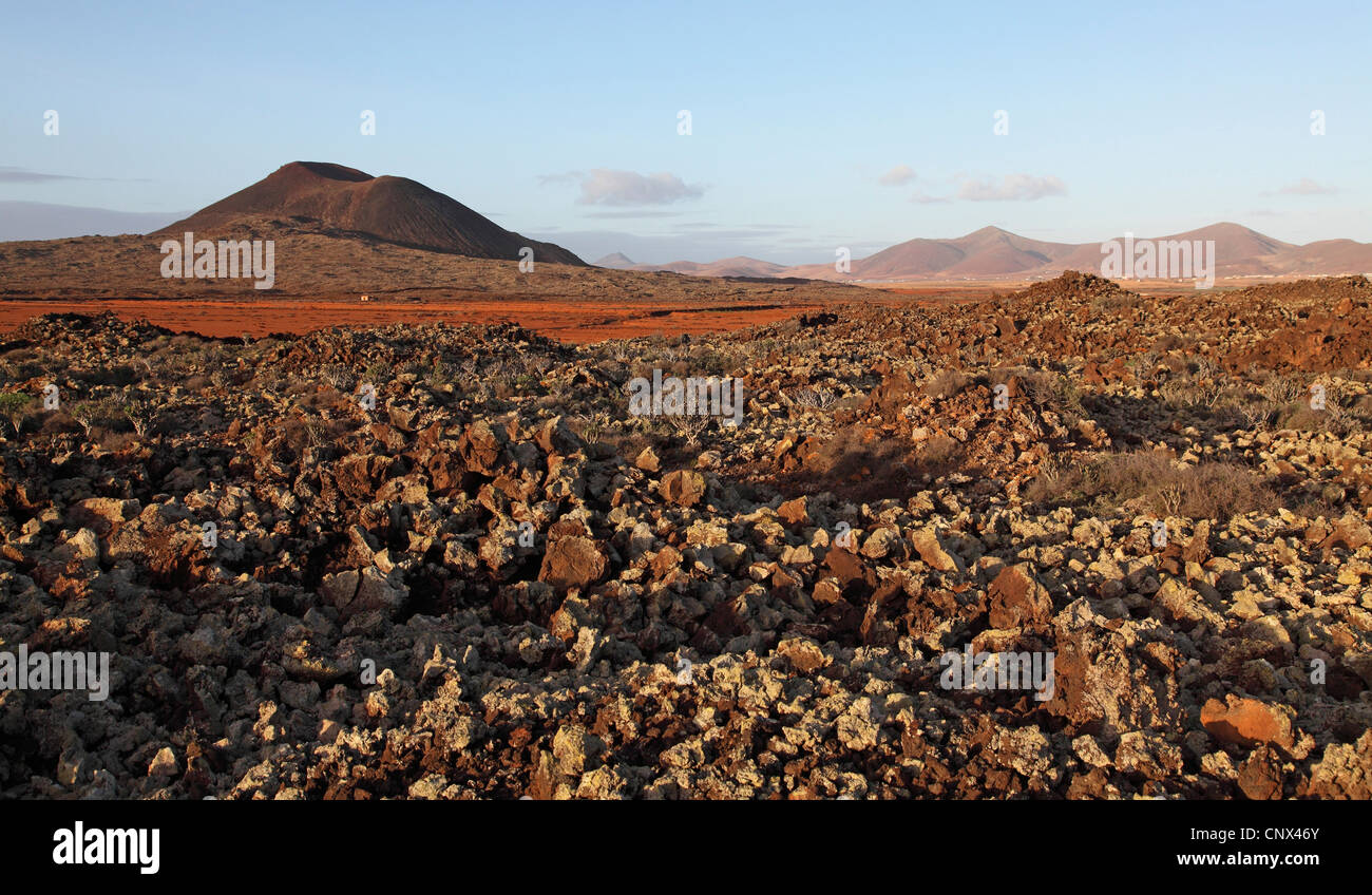 rocky desert with succulent plants, Canary Islands, Fuerteventura, Tiscamanita Stock Photo