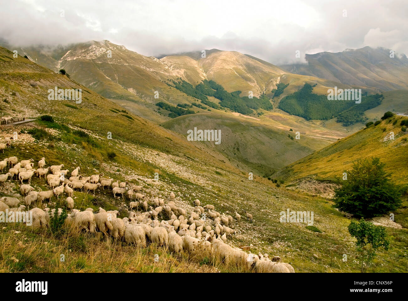 Landscape Image at the Parco Nazionale dei Monti Sibillini, Italy, Marche, Monti Sibillini National Park Stock Photo