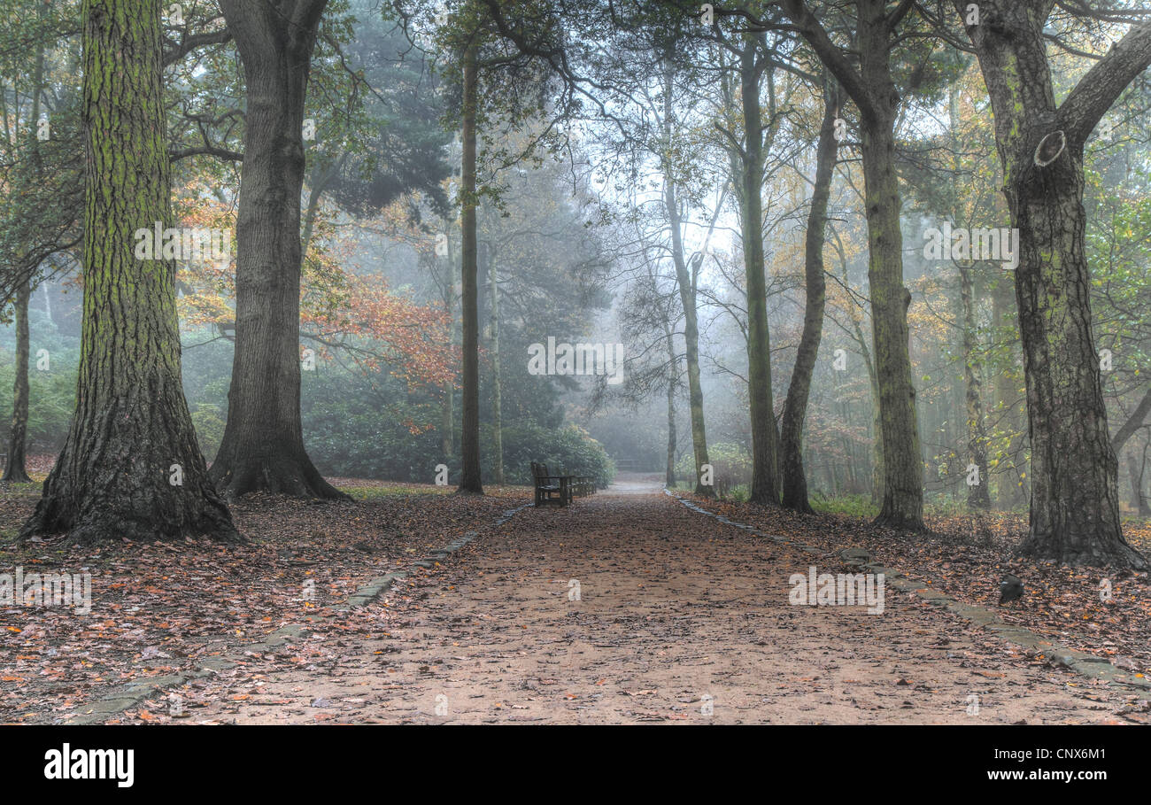 Golden Acre Park Leeds High Resolution Stock Photography and Images - Alamy