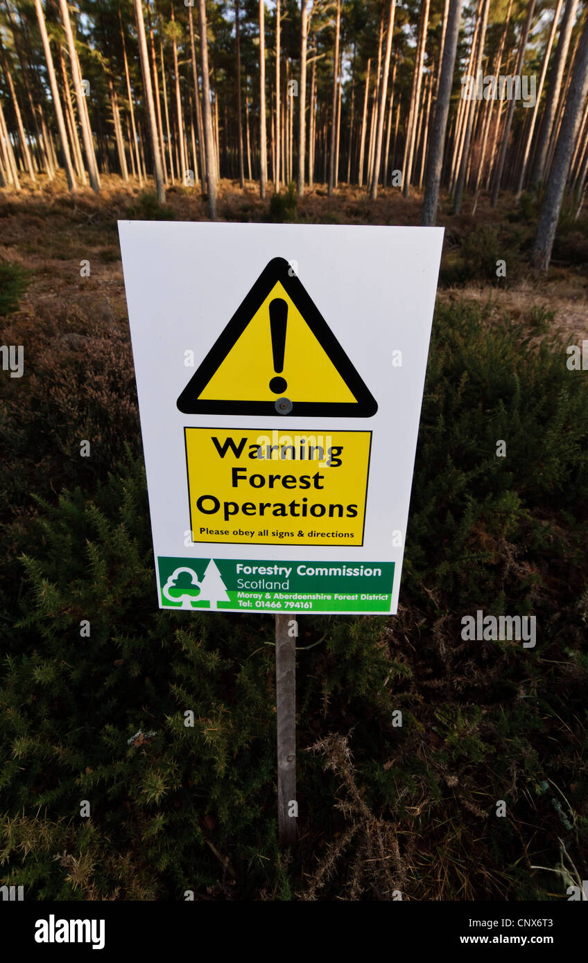 Signage warning of forestry operations in Culbin Forest Stock Photo