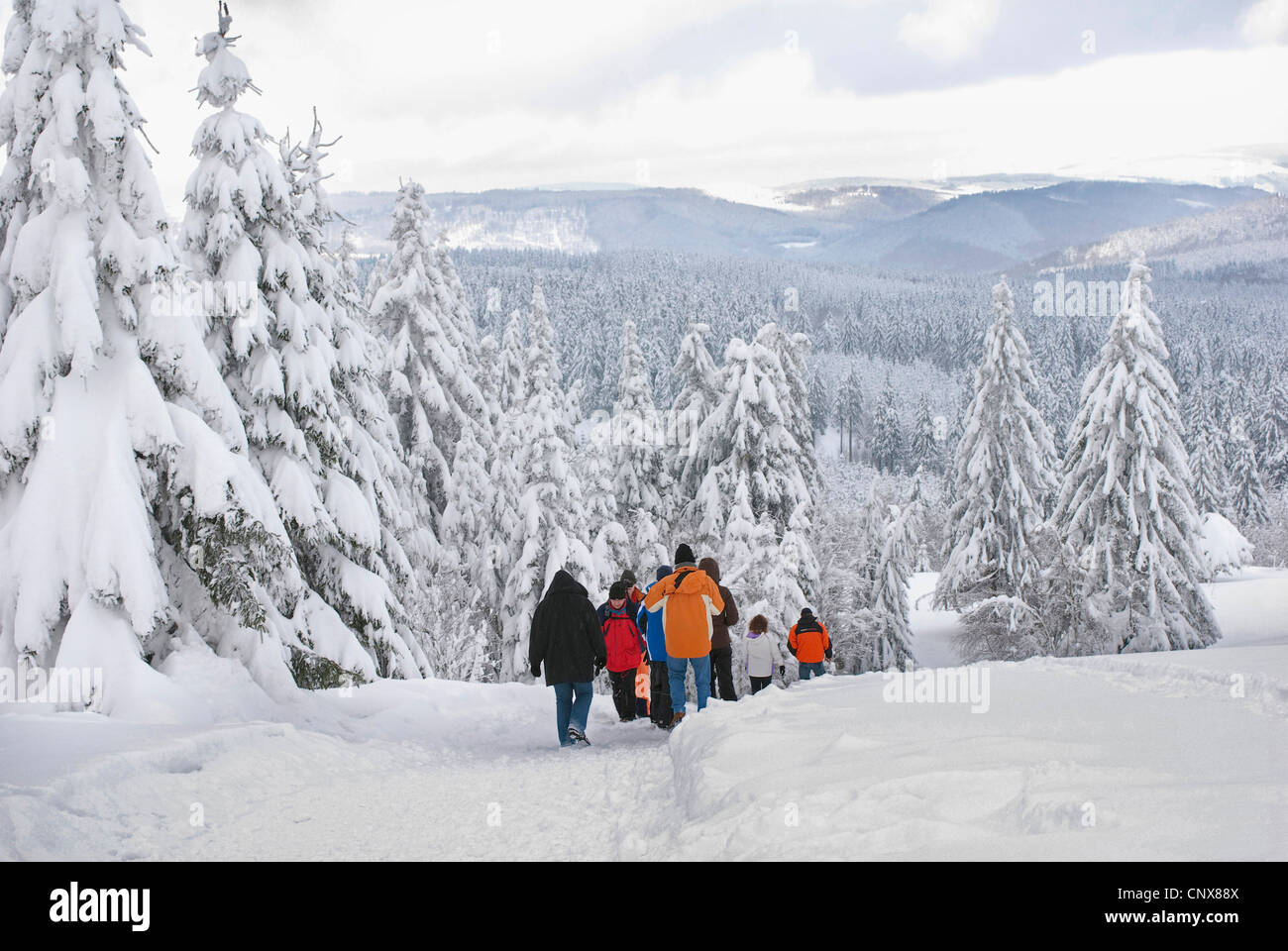 hiking group walking through a snow-covered forest landscape, Germany, North Rhine-Westphalia, Sauerland Stock Photo