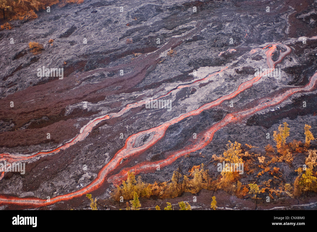 Lava flowing from Kilauea Volcano, USA, Hawaii, Hawaii Volcanoes