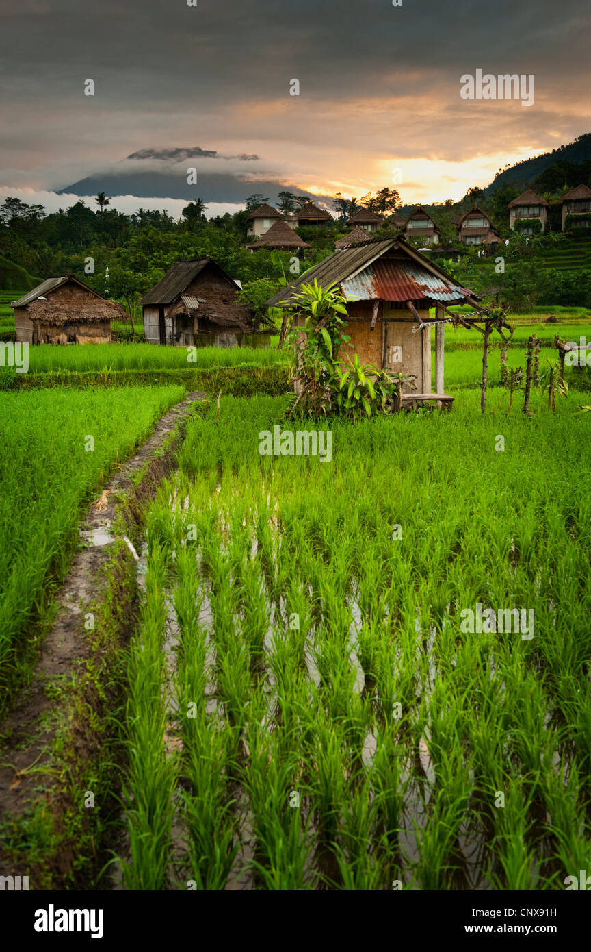 Sidemen Bali Gunung Agung High Resolution Stock Photography And Images Alamy